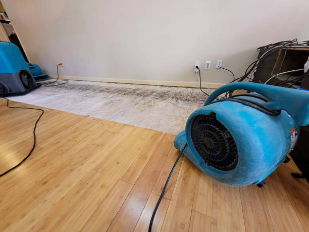 Professional Sewage Cleanup technician working in Mills River, NC